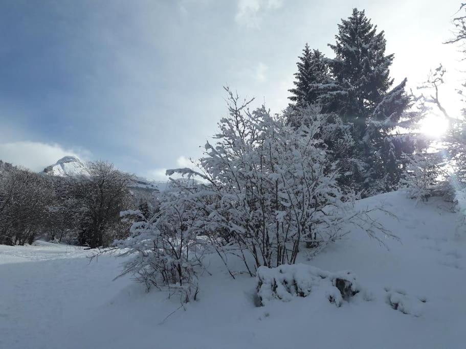 Apartamento Duplex 59M2 - Proche Centre - Balcon Plein Sud Corrençon-en-Vercors Exterior foto